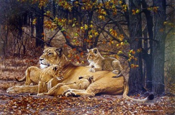  Lion Tableaux - lionne et petits